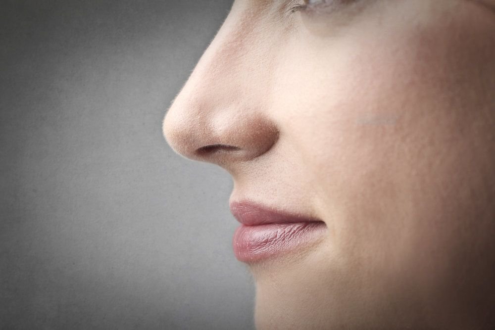 A nose viewed in profile