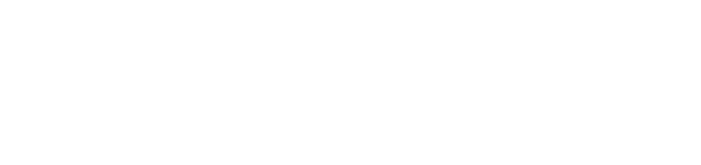 David Passaretti Logo